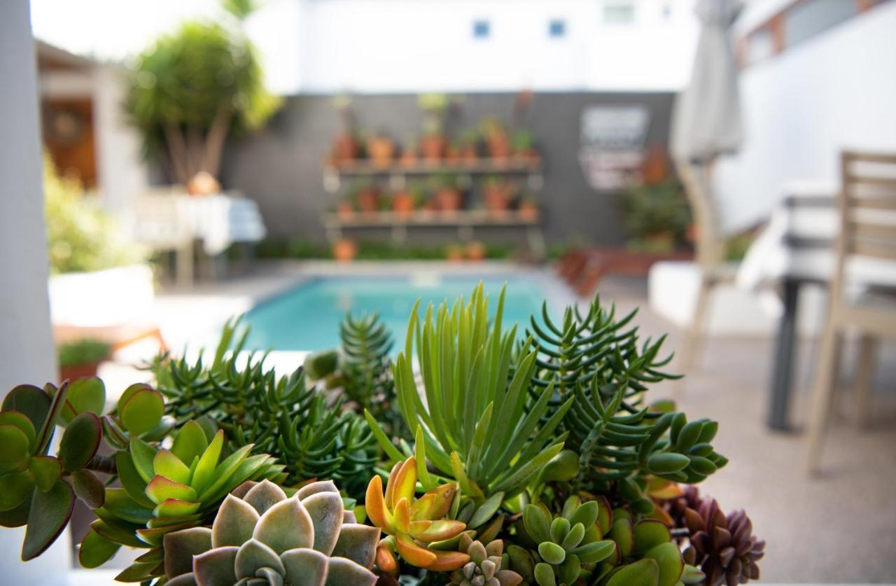 Paternoster Dunes Boutique Guesthouse エクステリア 写真
