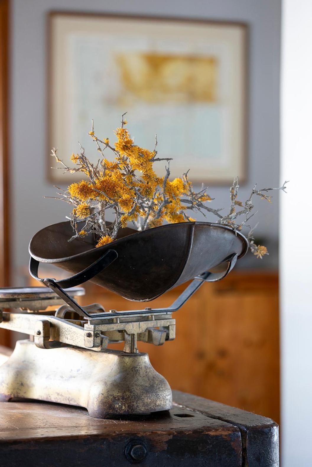 Paternoster Dunes Boutique Guesthouse エクステリア 写真